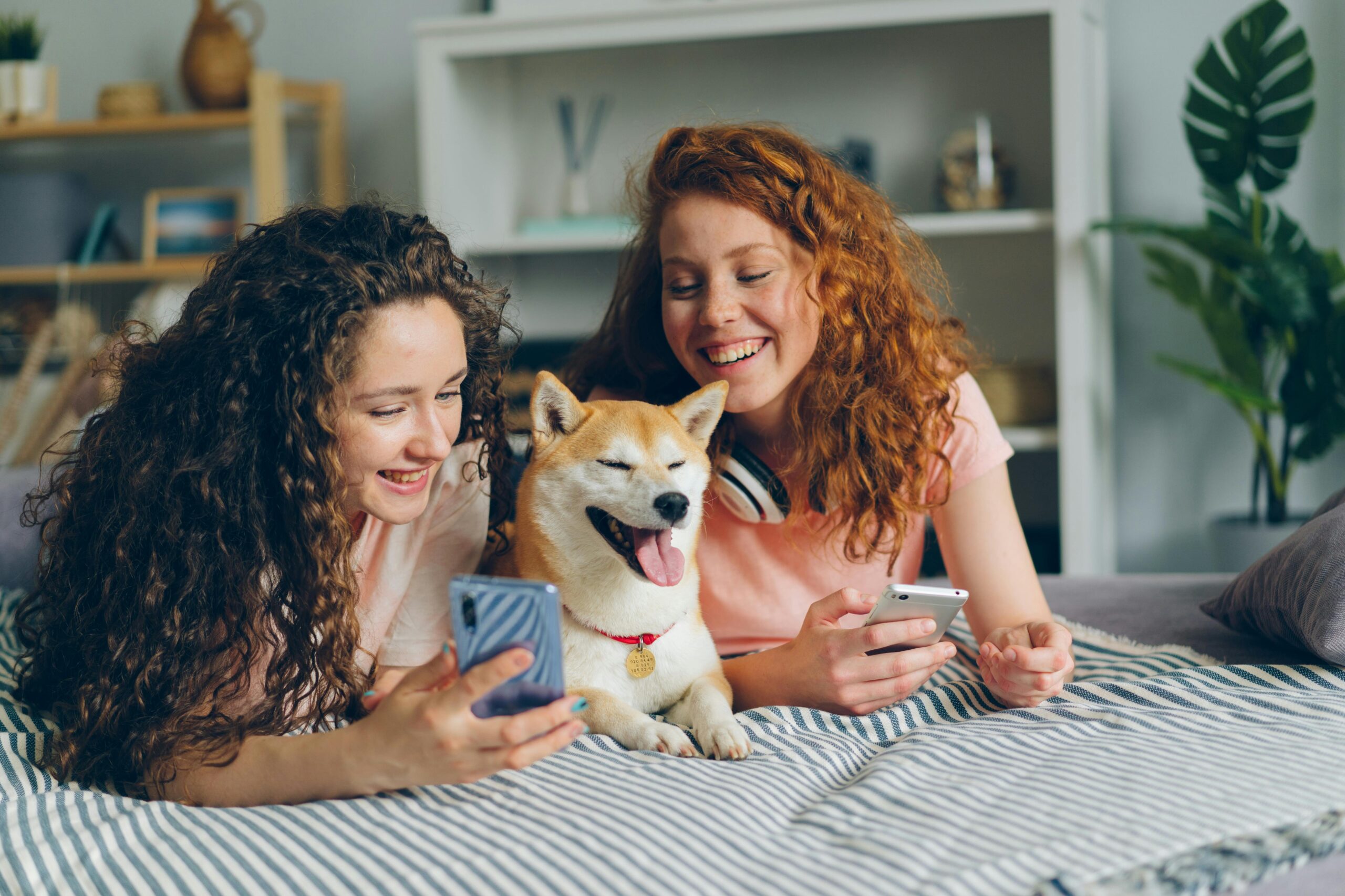 Two girls giggling together whilst looking at a smartphone. They have a shiba who is also smililng. Happiness.